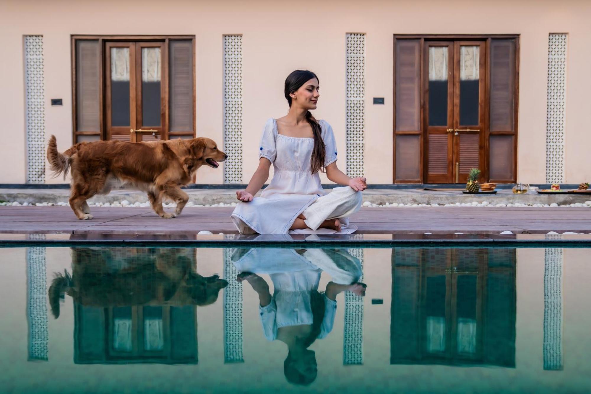 Parijat Private Pool Villa 1, 2 And 3 Bhk Udaipur Extérieur photo