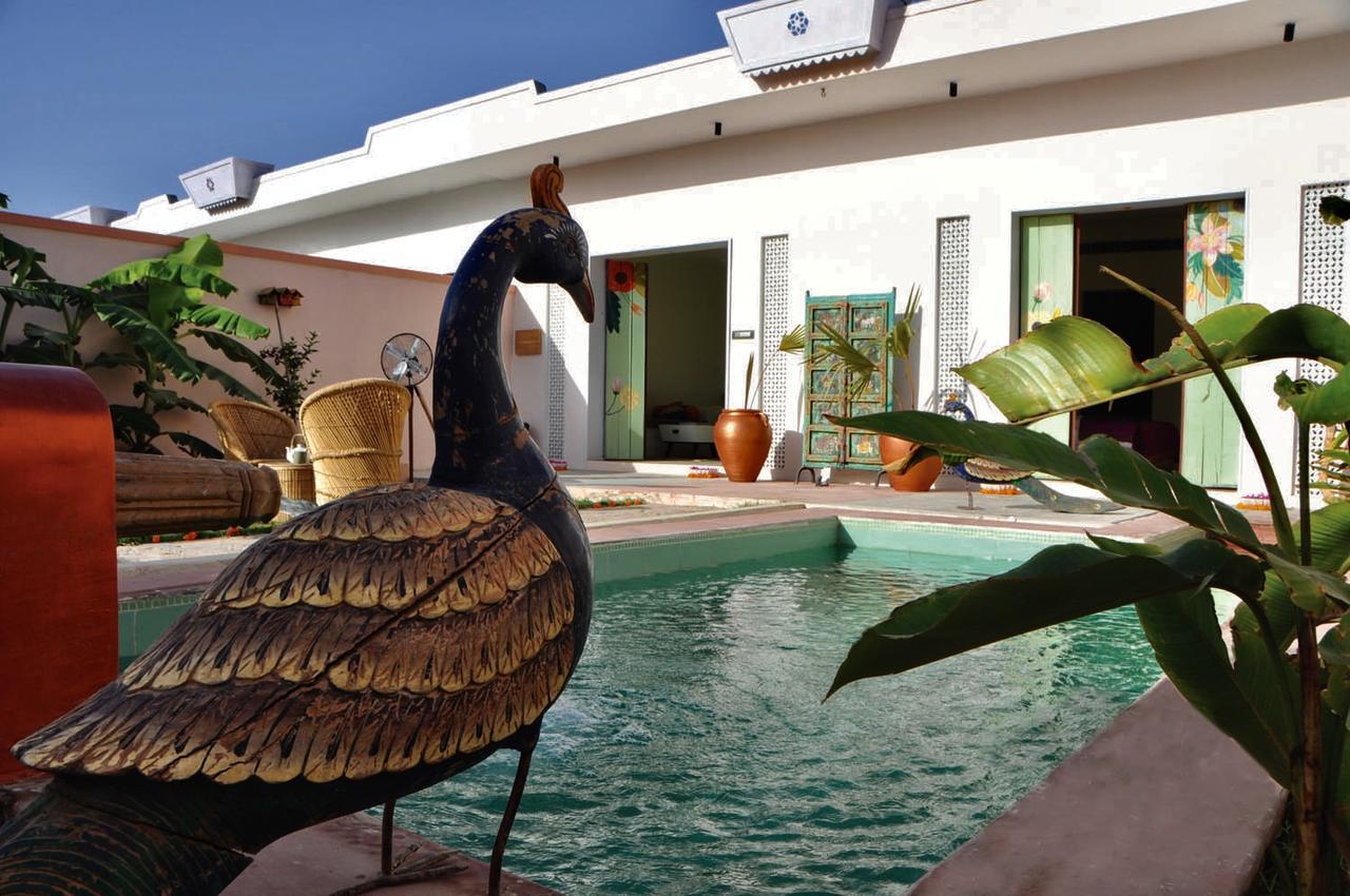Parijat Private Pool Villa 1, 2 And 3 Bhk Udaipur Extérieur photo